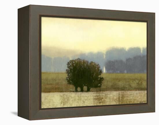 Villa Park I-Norman Wyatt Jr.-Framed Stretched Canvas