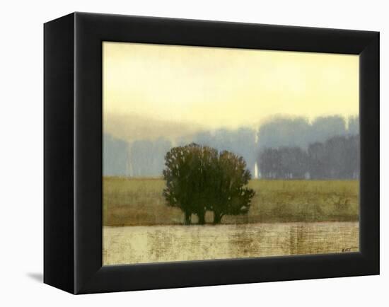 Villa Park I-Norman Wyatt Jr.-Framed Stretched Canvas