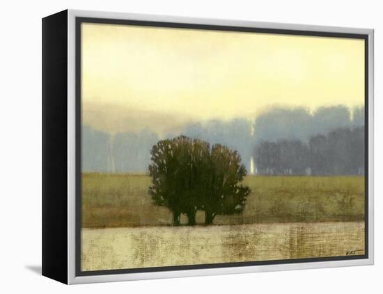 Villa Park I-Norman Wyatt Jr.-Framed Stretched Canvas