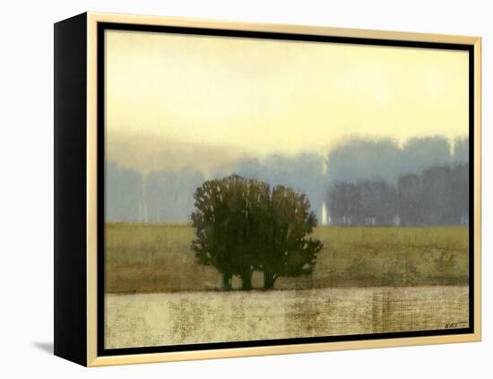 Villa Park I-Norman Wyatt Jr.-Framed Stretched Canvas