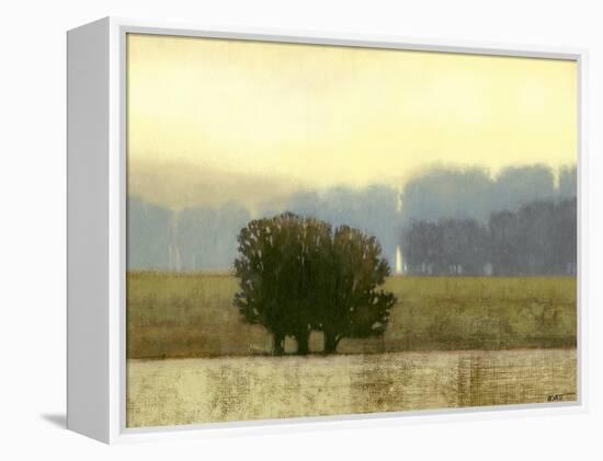 Villa Park I-Norman Wyatt Jr.-Framed Stretched Canvas