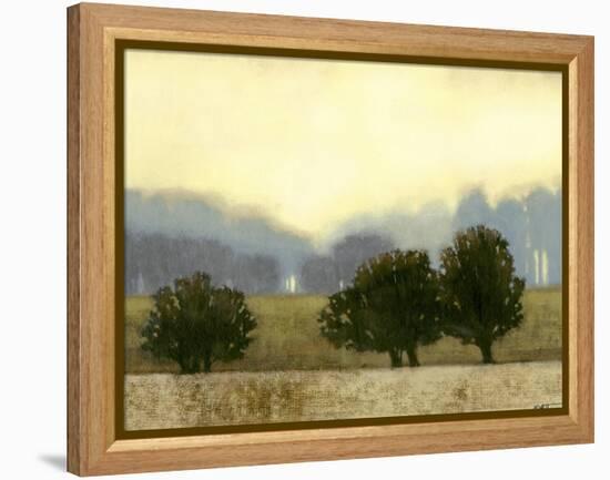 Villa Park II-Norman Wyatt Jr.-Framed Stretched Canvas