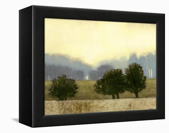 Villa Park II-Norman Wyatt Jr.-Framed Stretched Canvas