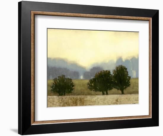 Villa Park II-Norman Wyatt Jr.-Framed Art Print