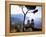 Villa Rufolo, Ravello, Amalfi Coast, Italy-Demetrio Carrasco-Framed Premier Image Canvas