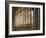 Villa Rufolo-Angelo Cavalli-Framed Photographic Print