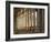 Villa Rufolo-Angelo Cavalli-Framed Photographic Print