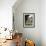 Villa Torrigiani, Camigliano Village, Lucca, Tuscany, Italy-Sheila Terry-Framed Photographic Print displayed on a wall