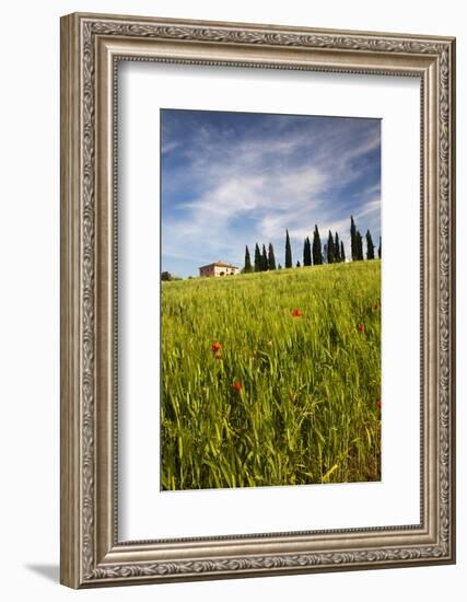 Villa with Wheat Fields, Cypress Trees, Poppies, Pienza, Tuscany, Italy-Terry Eggers-Framed Photographic Print