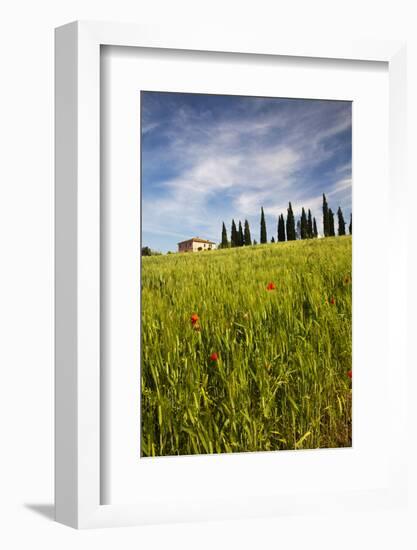 Villa with Wheat Fields, Cypress Trees, Poppies, Pienza, Tuscany, Italy-Terry Eggers-Framed Photographic Print