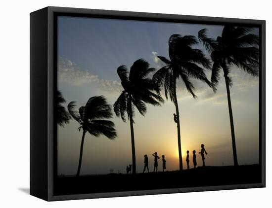 Village Boy Climbs a Coconut Tree as Others Wait Below on the Outskirts of Bhubaneshwar, India-null-Framed Premier Image Canvas