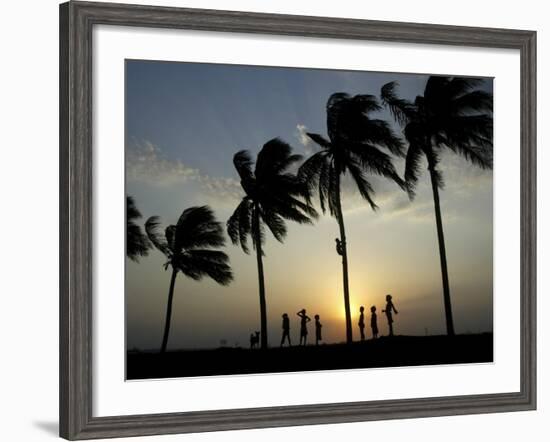 Village Boy Climbs a Coconut Tree as Others Wait Below on the Outskirts of Bhubaneshwar, India-null-Framed Photographic Print