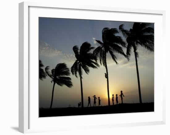 Village Boy Climbs a Coconut Tree as Others Wait Below on the Outskirts of Bhubaneshwar, India-null-Framed Photographic Print