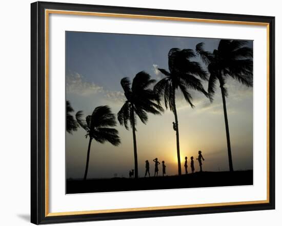 Village Boy Climbs a Coconut Tree as Others Wait Below on the Outskirts of Bhubaneshwar, India-null-Framed Photographic Print
