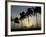 Village Boy Climbs a Coconut Tree as Others Wait Below on the Outskirts of Bhubaneshwar, India-null-Framed Photographic Print