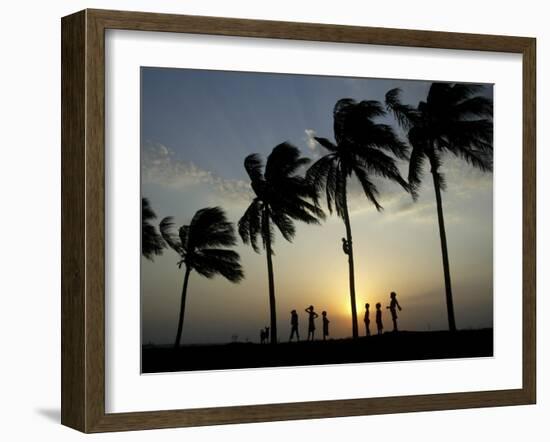 Village Boy Climbs a Coconut Tree as Others Wait Below on the Outskirts of Bhubaneshwar, India-null-Framed Photographic Print