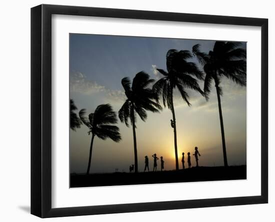 Village Boy Climbs a Coconut Tree as Others Wait Below on the Outskirts of Bhubaneshwar, India-null-Framed Photographic Print