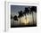 Village Boy Climbs a Coconut Tree as Others Wait Below on the Outskirts of Bhubaneshwar, India-null-Framed Photographic Print