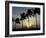 Village Boy Climbs a Coconut Tree as Others Wait Below on the Outskirts of Bhubaneshwar, India-null-Framed Photographic Print