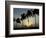 Village Boy Climbs a Coconut Tree as Others Wait Below on the Outskirts of Bhubaneshwar, India-null-Framed Photographic Print