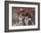 Village Children, 1890-John Singer Sargent-Framed Giclee Print