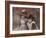 Village Children, 1890-John Singer Sargent-Framed Giclee Print