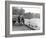 Village Duck Pond Scene, Tickhill, Doncaster, South Yorkshire, 1961-Michael Walters-Framed Photographic Print