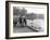 Village Duck Pond Scene, Tickhill, Doncaster, South Yorkshire, 1961-Michael Walters-Framed Photographic Print