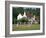 Village Green Cricket, Tilford, Surrey, England, UK-Rolf Richardson-Framed Photographic Print