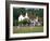 Village Green Cricket, Tilford, Surrey, England, UK-Rolf Richardson-Framed Photographic Print