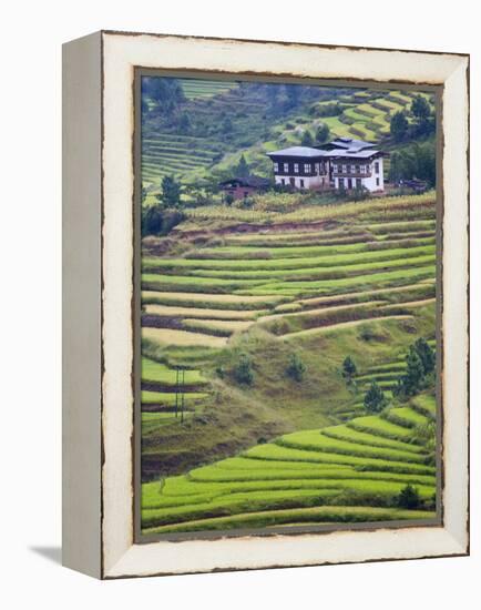 Village House and Rice Terraces in Metshina Village, Bhutan-Keren Su-Framed Premier Image Canvas