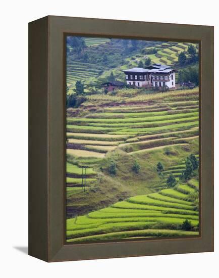 Village House and Rice Terraces in Metshina Village, Bhutan-Keren Su-Framed Premier Image Canvas