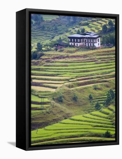 Village House and Rice Terraces in Metshina Village, Bhutan-Keren Su-Framed Premier Image Canvas