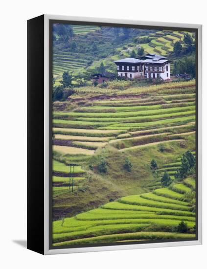 Village House and Rice Terraces in Metshina Village, Bhutan-Keren Su-Framed Premier Image Canvas