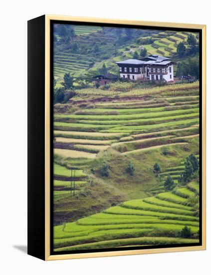 Village House and Rice Terraces in Metshina Village, Bhutan-Keren Su-Framed Premier Image Canvas