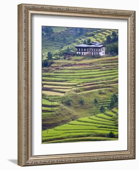 Village House and Rice Terraces in Metshina Village, Bhutan-Keren Su-Framed Photographic Print