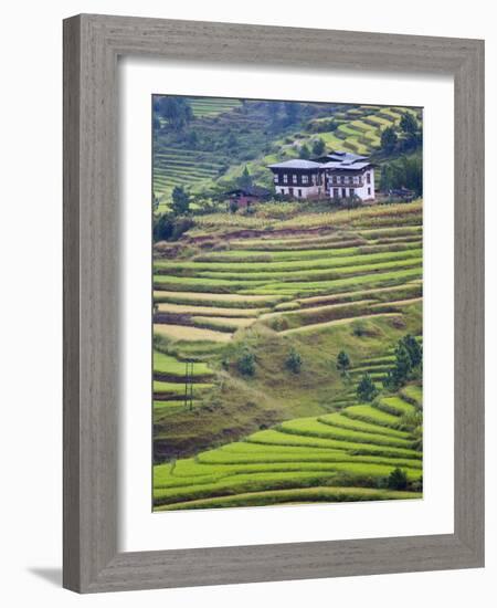 Village House and Rice Terraces in Metshina Village, Bhutan-Keren Su-Framed Photographic Print