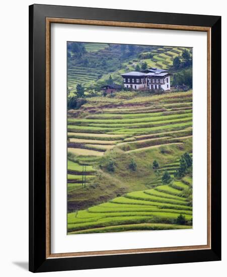 Village House and Rice Terraces in Metshina Village, Bhutan-Keren Su-Framed Photographic Print