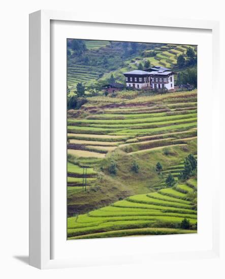 Village House and Rice Terraces in Metshina Village, Bhutan-Keren Su-Framed Photographic Print