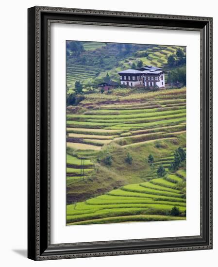 Village House and Rice Terraces in Metshina Village, Bhutan-Keren Su-Framed Photographic Print