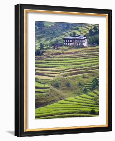 Village House and Rice Terraces in Metshina Village, Bhutan-Keren Su-Framed Photographic Print