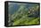 Village House and Rice Terraces in the Mountain, Longsheng, China-Keren Su-Framed Premier Image Canvas