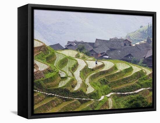 Village Houses with Rice Terraces in the Mountain, Longsheng, Guangxi, China-Keren Su-Framed Premier Image Canvas