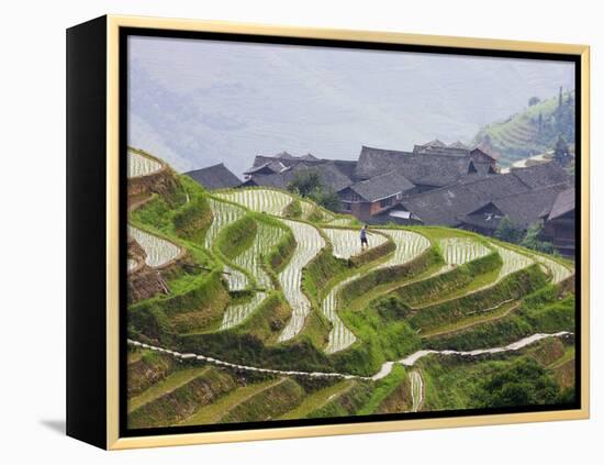 Village Houses with Rice Terraces in the Mountain, Longsheng, Guangxi, China-Keren Su-Framed Premier Image Canvas