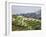 Village Houses with Rice Terraces in the Mountain, Longsheng, Guangxi, China-Keren Su-Framed Photographic Print