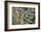 Village in the Land of the Gourague, Hosana Region, Shoa Province, Ethiopia, Africa-Bruno Barbier-Framed Photographic Print