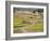 Village Near Rawalpindi, Pakistan-Harding Robert-Framed Photographic Print