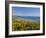 Village of Aberdaron with St. Hywyn's Church and Graveyard, Aberdaron Bay, Gwynedd, North Wales-Neale Clarke-Framed Photographic Print