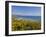 Village of Aberdaron with St. Hywyn's Church and Graveyard, Aberdaron Bay, Gwynedd, North Wales-Neale Clarke-Framed Photographic Print