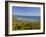 Village of Aberdaron with St. Hywyn's Church and Graveyard, Aberdaron Bay, Gwynedd, North Wales-Neale Clarke-Framed Photographic Print